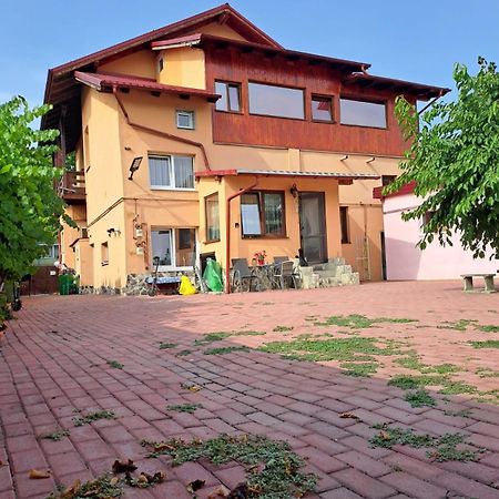 Hotel Casa Vlaicu à Braşov Extérieur photo