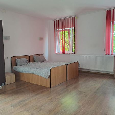 Hotel Casa Vlaicu à Braşov Extérieur photo
